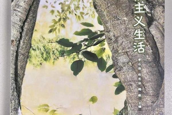 为民服务，成语接龙展现智慧与情感的交融