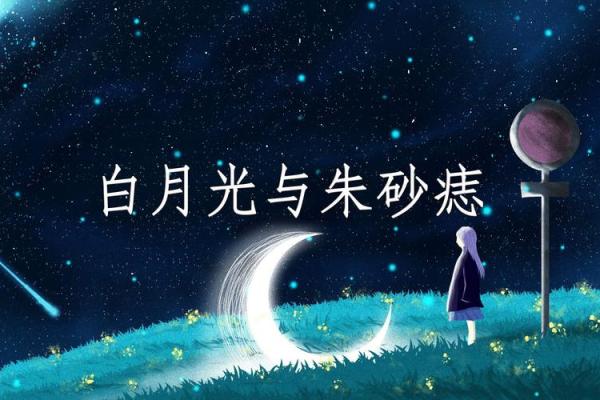 《公主病与丫鬟命：一场命运的对比与思考》