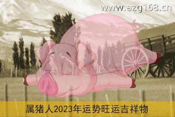 属猪人的2023年运势解析，开启新的人生篇章！