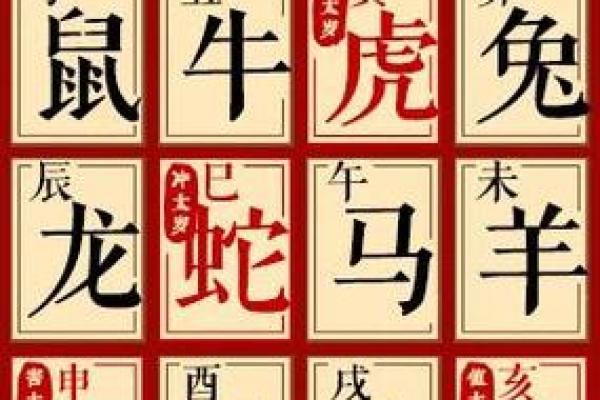 68年猴年出生者命运解析：智慧与挑战并存的精彩人生