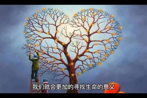 探寻生命的意义：在喜悦与挑战中感悟人生的哲理