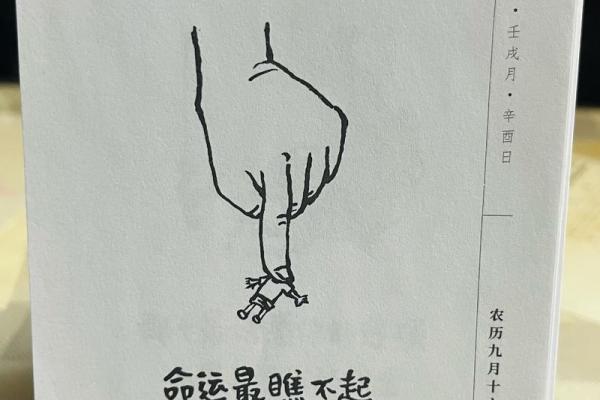 癸卯年出生的人命运解析：拥抱人生的幸运与机遇