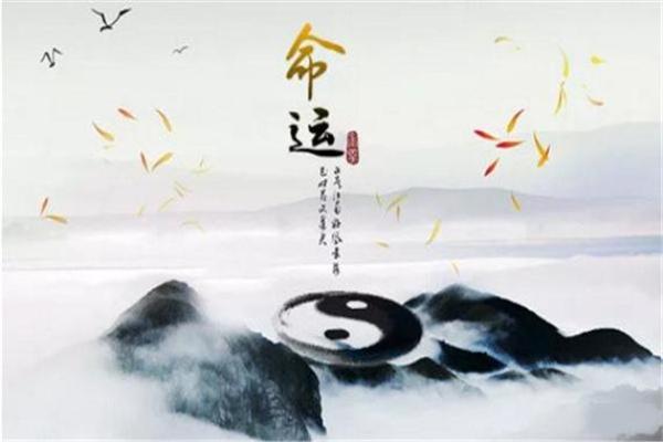 了解你的命运：算命揭示你这一生的秘密与机遇