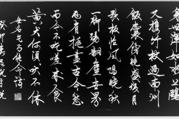 追寻命运的珍贵：一首关于生命与价值的诗探讨