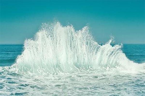 大海水命家庭摆设巧选择，助你增运招财！