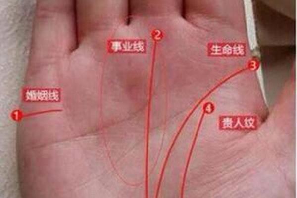 探索命理学之谜：双手断掌的深意与象征