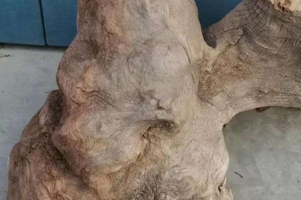 崖柏木命的招财秘籍：如何利用崖柏木提升你的财运与生活品质