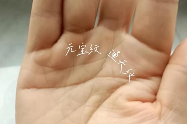 男人脚太细，命运的隐秘与解读！