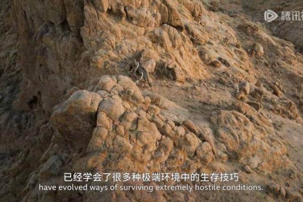 1997年出生的人命理解析:如何把握命运的脉动与成长之路 1997年出生的人命理解析:如何把握命运的脉动与成长之路