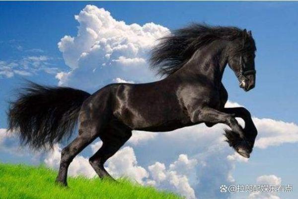 2026年属马人的命运与生活：探秘他们的未来运势与性格特点
