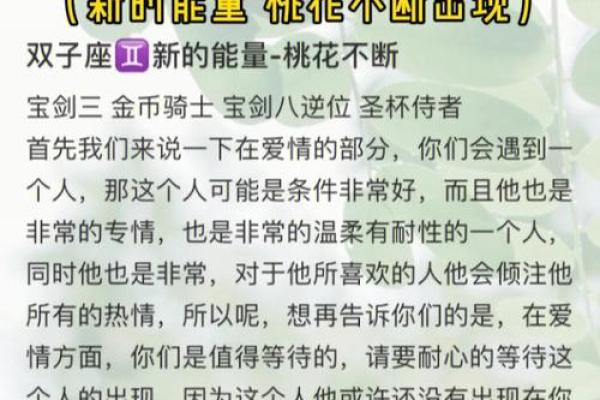 命里带活桃花：解密你热情内心的浪漫能量