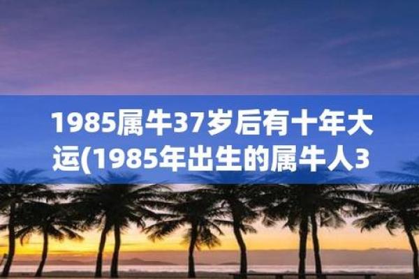 1944年出生的牛命：解码命理与人生哲理的精彩旅程