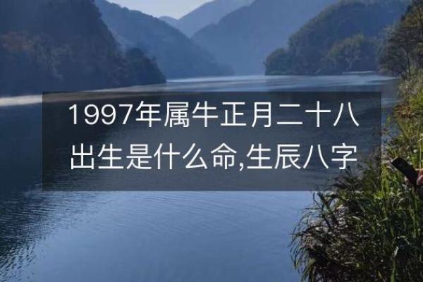 204年出生的人属什么命？探索木命的丰富内涵与生活智慧