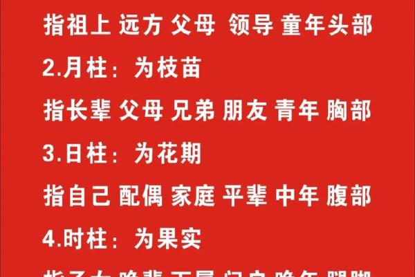 82年属狗男性的命理解读与人生指导