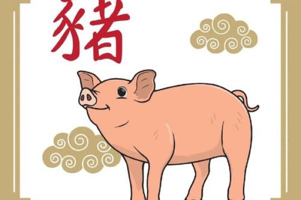 命人适合佩戴的生肖解析，让你在风水中助运增福