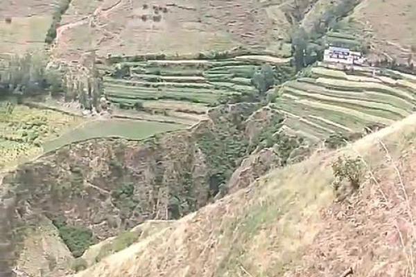 土命人士选择植物的智慧之道，搭配自然的魅力与灵性！