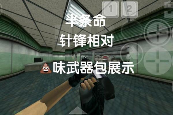 半条命中的武器评析：哪一款才是最强？