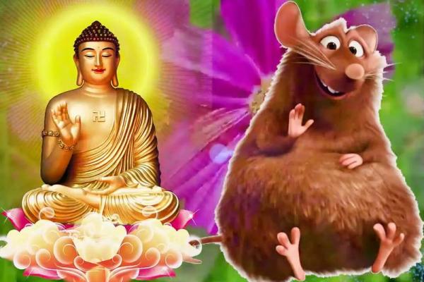 1996年属鼠的人：性格解析与命运之路