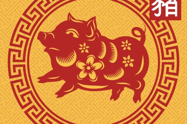 2023年属猪人的命运解析：机遇与挑战的完美结合