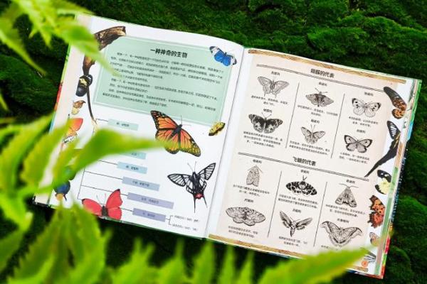 探秘玄学命理：揭开人生奥秘的神秘密码