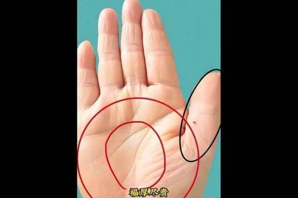 海中金女命的运势与旺势解析:如何掌握人生的黄金之路 海中金女命的运势与旺势解析:如何掌握人生的黄金之路