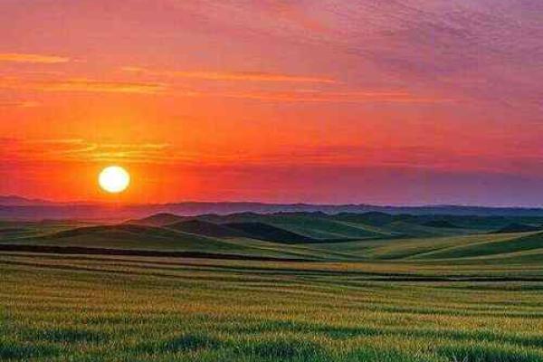 了解命运:如何通过自身特征探索生命的奥秘 了解命运:如何通过自身特征探索生命的奥秘