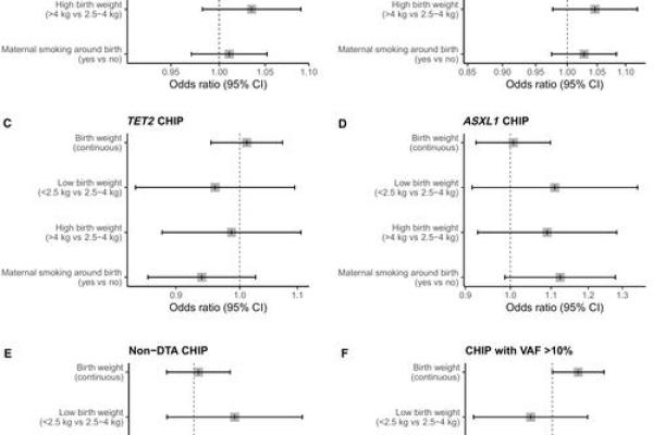 2000年8月出生者的命运与人生解读：探索他们的潜能与挑战