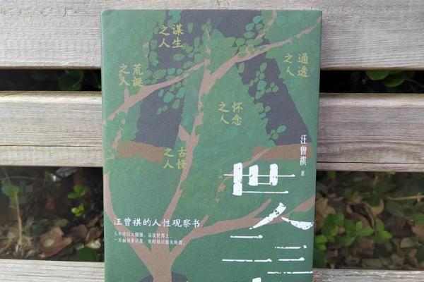 探秘2017年陈字命运，揭示命格与人生轨迹的奥秘