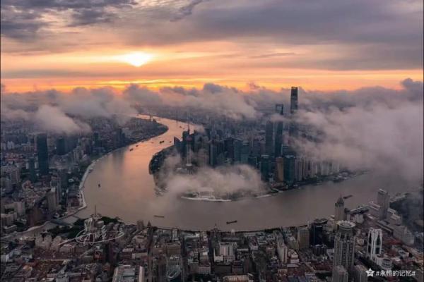 58年狗的命运解析:揭示隐藏的性格与人生轨迹 58年狗的命运解析:揭示隐藏的性格与人生轨迹