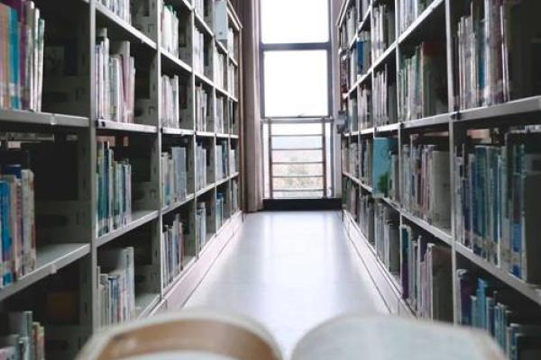 算命揭秘：1963年属什么命，人生运势与性格探索！