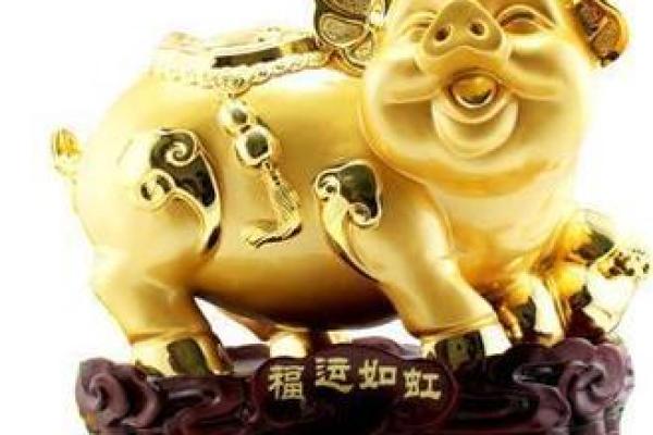 2023年51岁属猪人的命运分析与生活建议