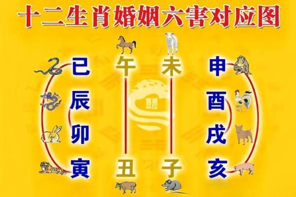 根据出生年份了解你的命运：生肖与命理的深度解析