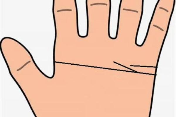 探秘断掌命：有断掌的人背后的神秘运势与生活特征