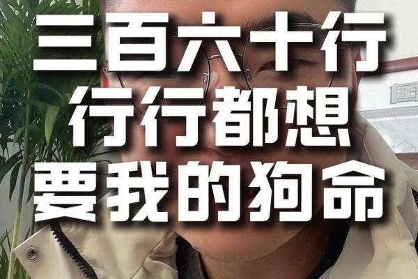 探讨2030年狗年命运:如何把握旺盛的机遇与挑战 探讨2030年狗年命运:如何把握旺盛的机遇与挑战