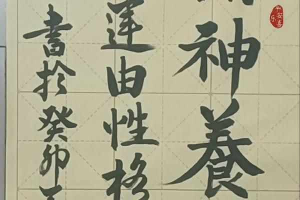 1954年马年出生的命运与性格解析