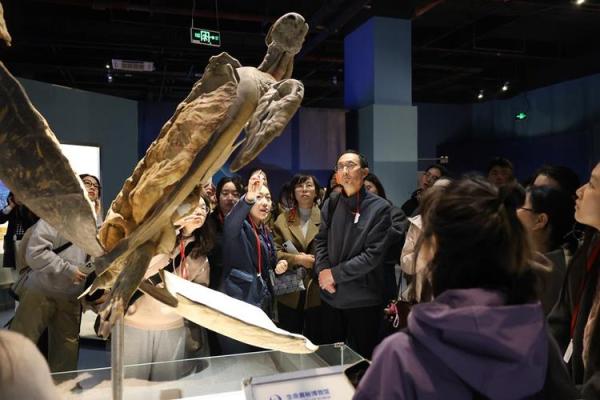 命理学习:探索生命奥秘的书籍之旅 命理学习:探索生命奥秘的书籍之旅