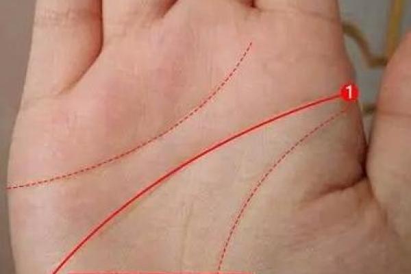 揭秘手背长猴子:奇特命理解析与人生启示 揭秘手背长猴子:奇特命理解析与人生启示