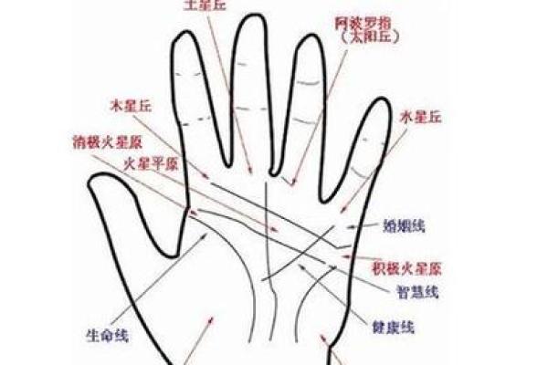 揭秘手背长猴子:奇特命理解析与人生启示 揭秘手背长猴子:奇特命理解析与人生启示