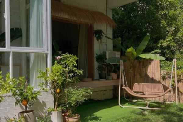 白蜡金命与适合养殖的植物:打造理想的生活环境 白蜡金命与适合养殖的植物:打造理想的生活环境