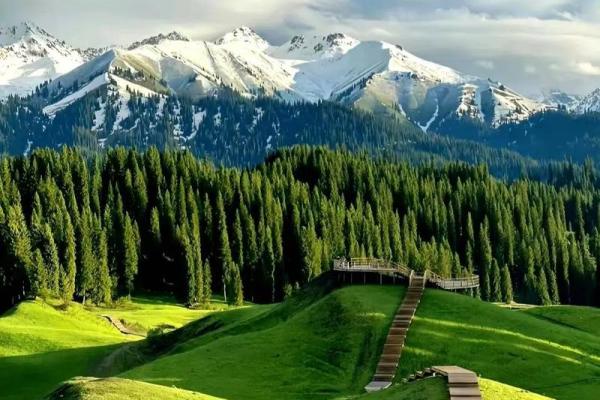 土命人的吉祥物与最佳摆放建议解析 土命人的吉祥物与最佳摆放建议解析