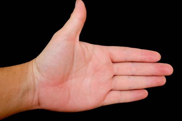 1223生日命运解读:探索你的性格与未来的奥秘 1223生日命运解读:探索你的性格与未来的奥秘