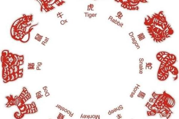 探秘十二生肖与命运的奥秘：你的生肖如何影响人生轨迹？