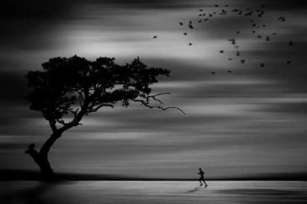 天孤星之人:独特命运的深度解析与人生启示 天孤星之人:独特命运的深度解析与人生启示