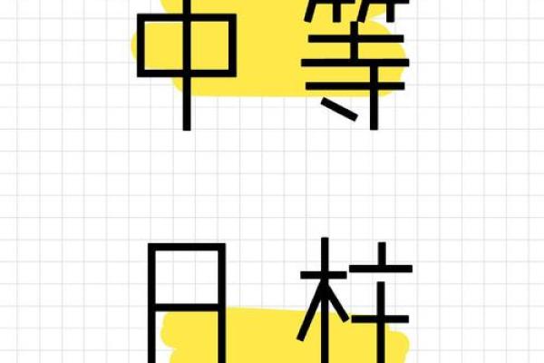 癸丑乙未命格解析：如何理解命运中的深意与智慧