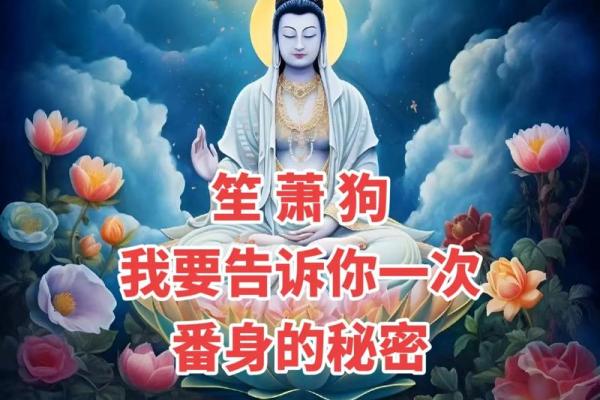 1982年属狗女：性格与命运的独特密码