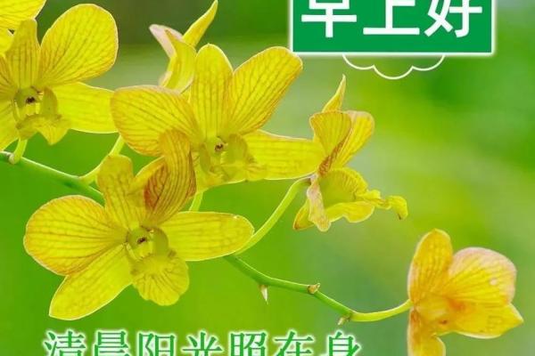 竖起大拇指，解读命理与生活中的积极能量