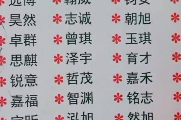婴儿取名:从命格看如何为宝贝选个好名字 婴儿取名:从命格看如何为宝贝选个好名字