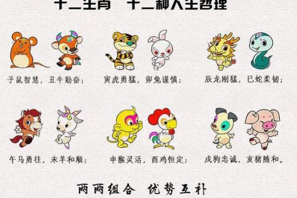 揭秘生肖女孩命格：从生肖看出她的性格与未来！