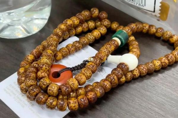 水命人适合佩戴的菩提种类与意义解析