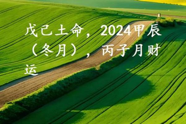 戊土命之人，如何选取合适的店名，让财运滚滚而来？